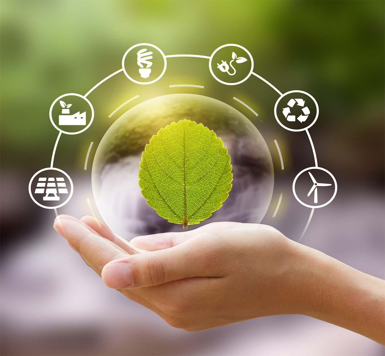 Empaques Flexibles: Innovación Sostenible para un Futuro Responsable
