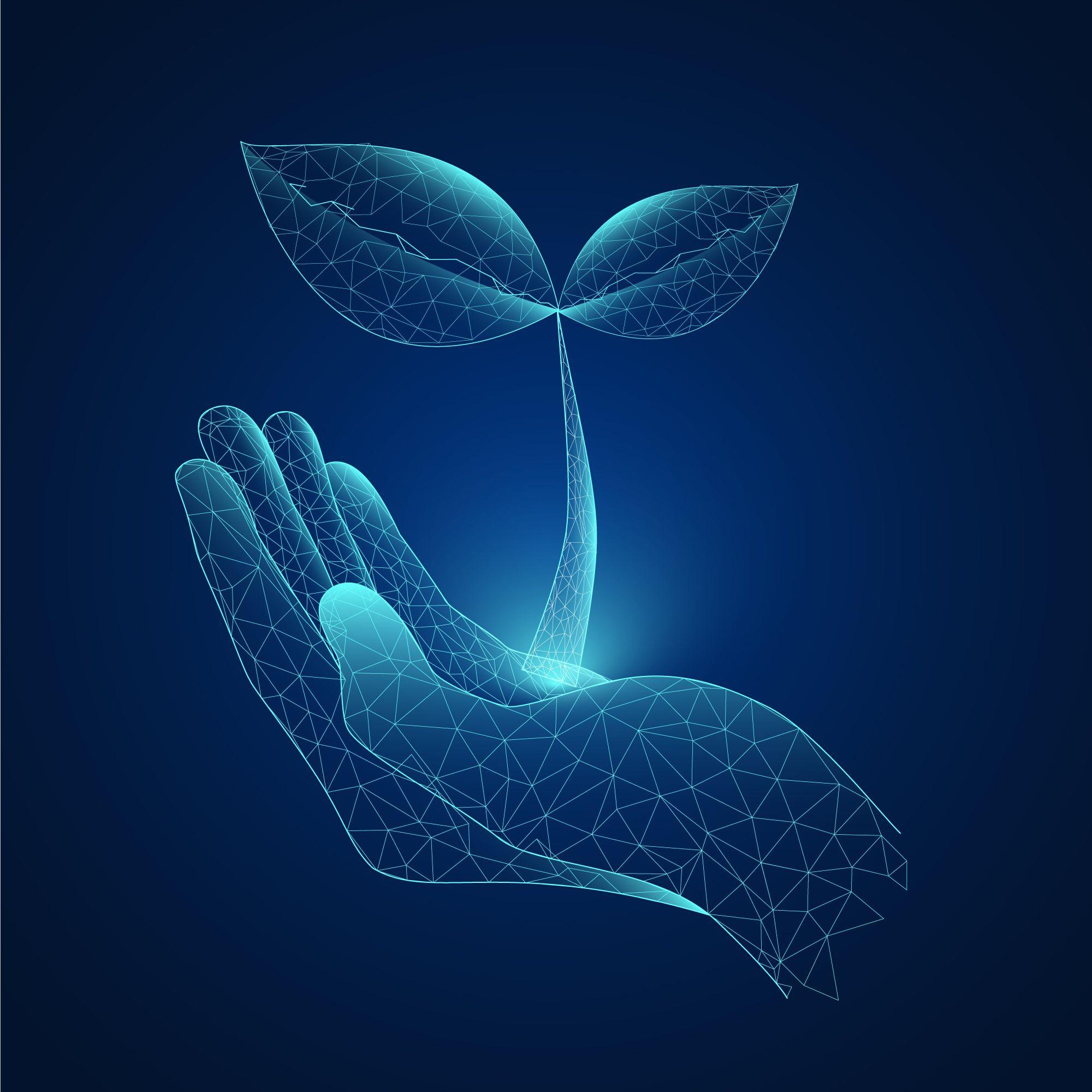 Empaques Flexibles: Innovación Sostenible para un Futuro Responsable